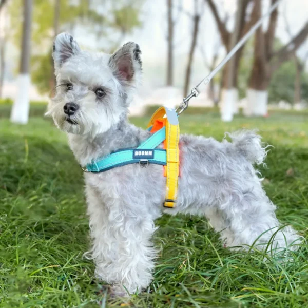 dchwm0263123-05.webp Adjustable Reflective Anti-Pull Dog Harness for Small and Medium Dogs – product view 5
