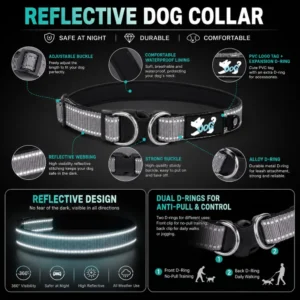 dchwm0263218-04.webp Reflective Dog Collar with Dual D-Rings – product view 4