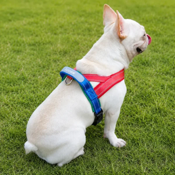 dchwm0263445-05.webp Reflective Saddle Style Dog Harness for Small and Medium Dogs – product view 5