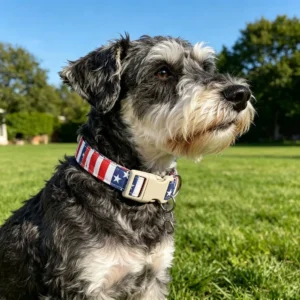 dchwm0277482-05.webp American Flag Adjustable Dog Collar with Quick Release Buckle – product view 5