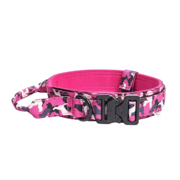 Heavy-Duty Camouflage Anti-Pull Dog Collar with Padded Comfort 3 Colors Assorted