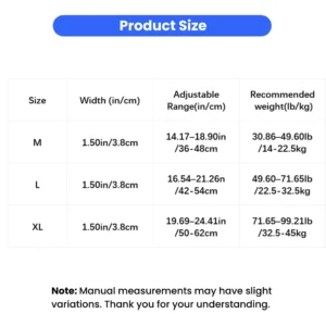 Shallow Stainless Steel Cat Bowl for Food and Water – product view 3