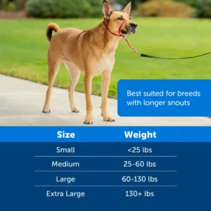 dchwm0294053-03.webp Adjustable Padded No Pull Dog Head Halter with 1.5m Leash for Walking 3 Colors Assorted – product view 3