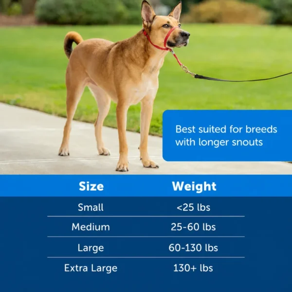 dchwm0294053-03.webp Adjustable Padded No Pull Dog Head Halter with 1.5m Leash for Walking 3 Colors Assorted – product view 3