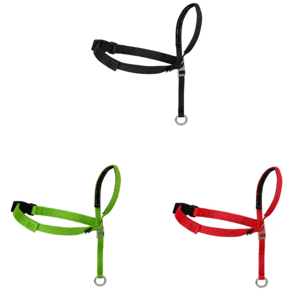 dchwm0294053-06.webp Adjustable Padded No Pull Dog Head Halter with 1.5m Leash for Walking 3 Colors Assorted – product view 6