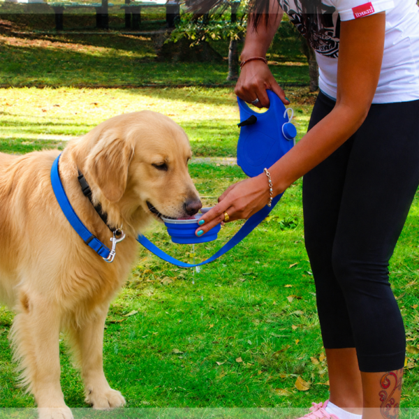 dchwm0300492-05.png 3 in 1 Portable Dog Leash with Water Bowl and Bag Dispenser – product view 5