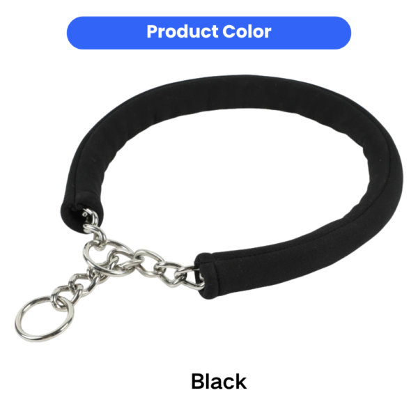 dchwm0302259-02.png Padded Stainless Steel Chain Dog Collar for Training and Walking – product view 2