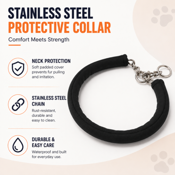 dchwm0302259-04.png Padded Stainless Steel Chain Dog Collar for Training and Walking – product view 4