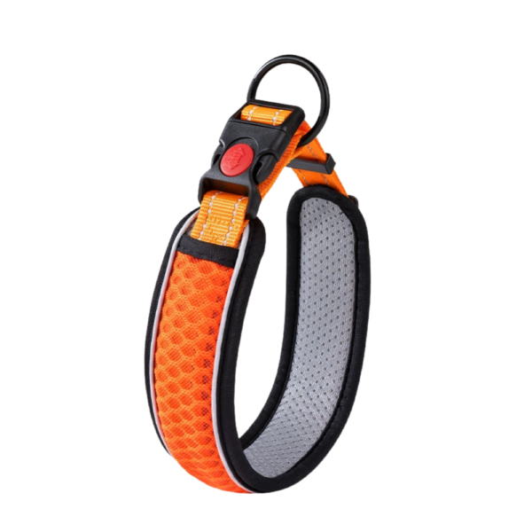 Breathable Reflective Padded Mesh Dog Collar with Safety Buckle 2 Colors Assorted