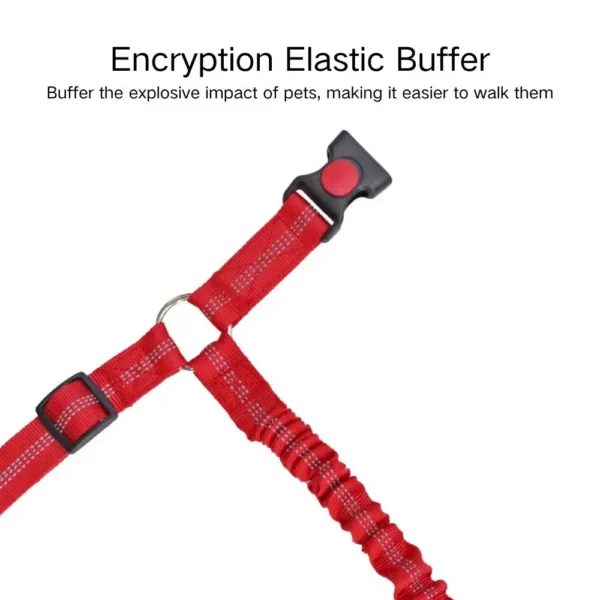 dctwm0032772-05.webp Car Safety Leash for Dogs with Elastic and Adjustable Strap – product view 5