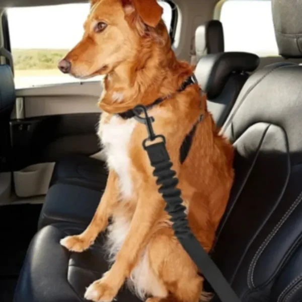 dctwm0238845-06.webp Elastic Dog Seat Belt Pet Safety – product view 6