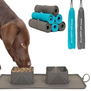 Dual Silicone Collapsible Portable Pet Bowl with Storage Bag Dog and Cat Food Bowls – product view 3