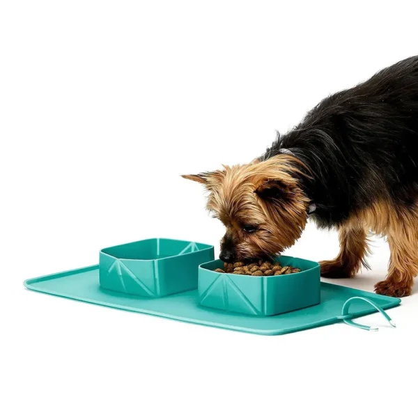 dfwwm0001335-05.webp Dual Silicone Collapsible Portable Pet Bowl with Storage Bag Dog and Cat Food Bowls – product view 5