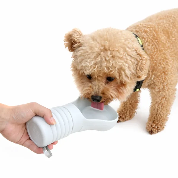 dfwwm0010305-01.webp Outdoor Foldable Easy-Cleaning Dog Water Bottle
