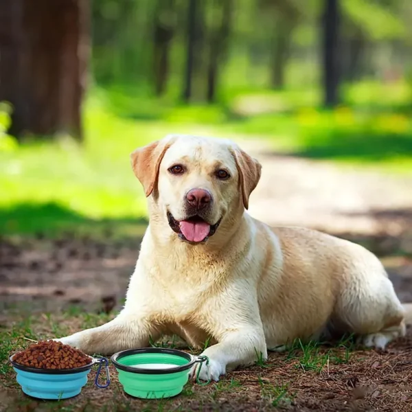 dfwwm0033378-04.webp Portable Foldable Silicone Dog Bowl Outdoor Pet Bowl – product view 4