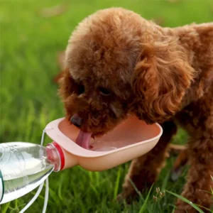 dfwwm0036949-06.webp Travel Easy Clean Protable Pet Dog Water Bottle Attachment – product view 6