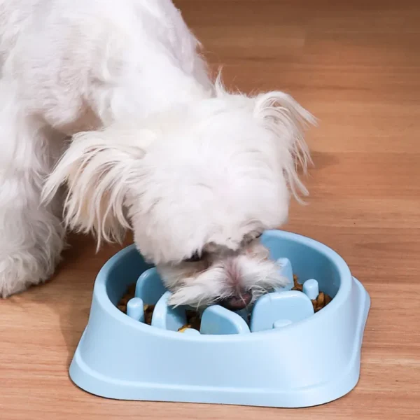 dfwwm0087490-02.webp Non Slip Bottom Plastic PP Material Pet Cat Dog Slow Feeder Bowl – product view 2