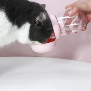 dfwwm0095283-05.webp Outdoor Travel Portable Drinking Pet Dog Water Bottle – product view 5