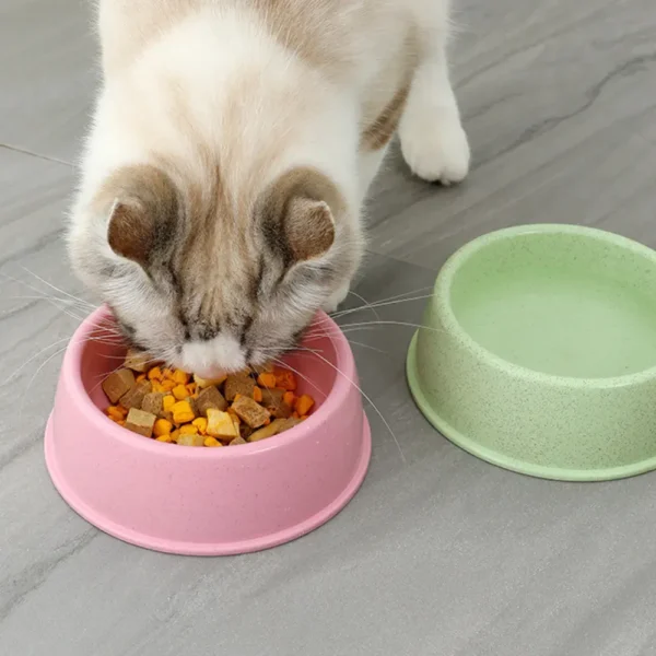 dfwwm0102251-04.webp Simple Round Wheat Straw Material Pet Water Bowl Cat Dog Food Bowls – product view 4