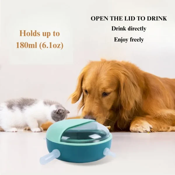 dfwwm0113600-07.webp Multi Feeding Port Nursing Bowl ABS Feeder for Kittens and Puppies – product view 7