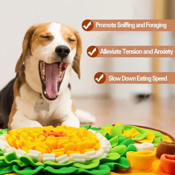 dfwwm0120669-02.webp Interactive Dog Snuffle Mat Puzzle Slow Feeding Puppy Training Mat – product view 2