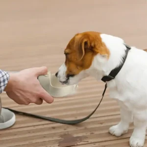 Foldable Dog Water Bottle Travel Lovely Outdoor Pet Dispenser – product view 4