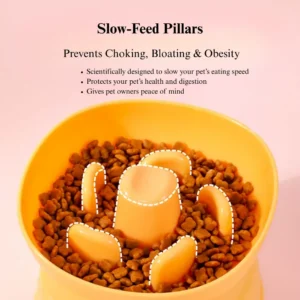 Elevated Dog Slow Feeder Bowl Anti Spill for Small Breeds – product view 3