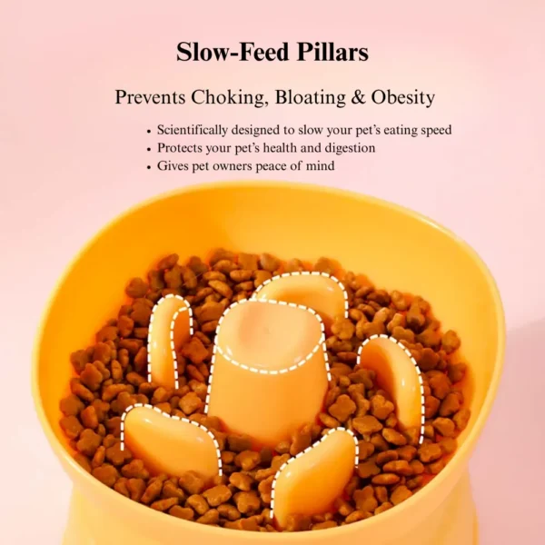 dfwwm0138751-03.webp Elevated Dog Slow Feeder Bowl Anti Spill for Small Breeds – product view 3