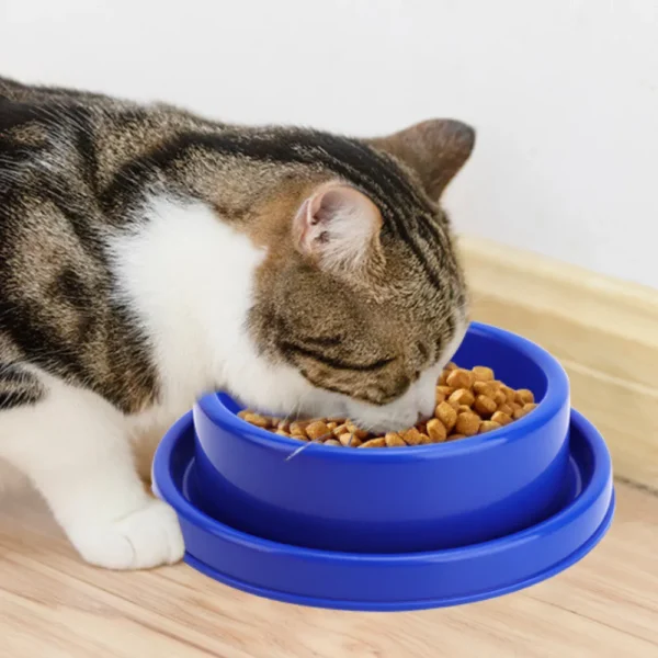 dfwwm0142286-05.webp Ants Away Anti-Slip Dog Bowl Cat Puppy Food Bowls Round – product view 5