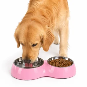 Dog Cat Water Food Bowl PP Material Double Stainless Steel Pet Bowls