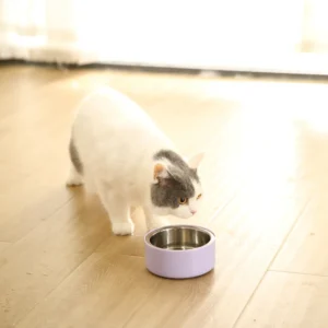 Detachable Non-Slip Durable Double-Layer Feeder Bowl – product view 3