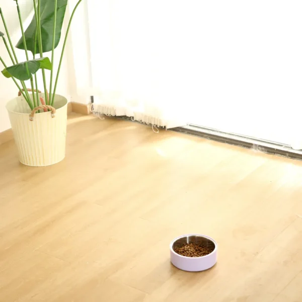 dfwwm0152376-04.webp Non-Slip Double-Layer Durable Feeder Bowl – product view 4