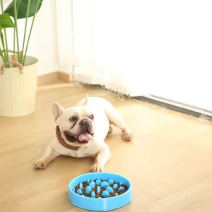 dfwwm0152548-06.webp Anti-Slip Dog Cat Feed Bowl Pet Slow Food Bowl – product view 4