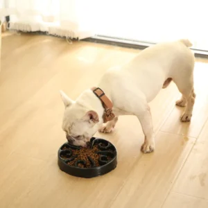 dfwwm0154423-06.webp Luxury PP Pet Easy to Clean Dog Slow Feeder Bowl – product view 6