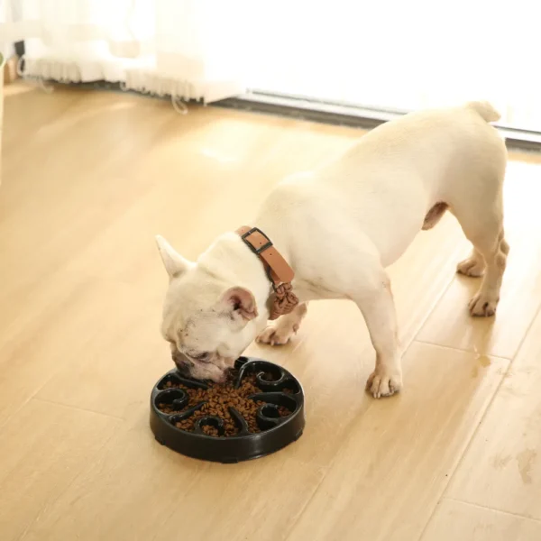 dfwwm0154423-06.webp Luxury PP Pet Easy to Clean Dog Slow Feeder Bowl – product view 6