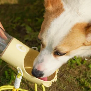 dfwwm0169240-07.webp 2-in-1 Portable Leak Proof Pet Water Bottle and Feeder with Strap – product view 7