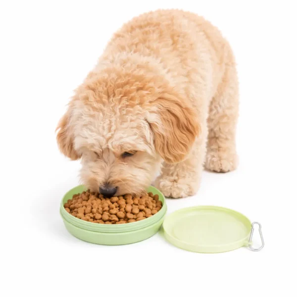 4 Color Option Portable Outdoor Dog Food Bowl
