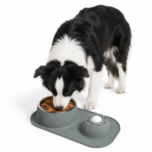 Anti-Slip Dog Slow Feeder Bowl with Licking Ball