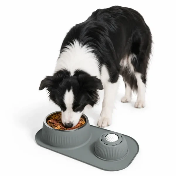 Anti-Slip Dog Slow Feeder Bowl with Licking Ball