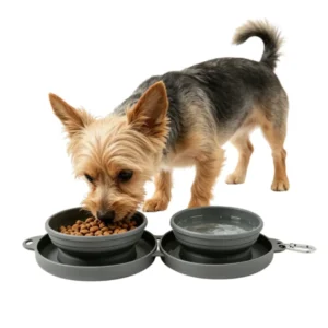 Collapsible Pet Travel Bowl Portable Dual Feeder