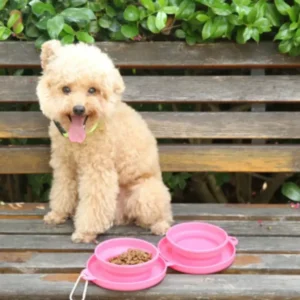 dfwwm0242340-05.webp Collapsible Pet Travel Bowl Portable Dual Feeder – product view 5