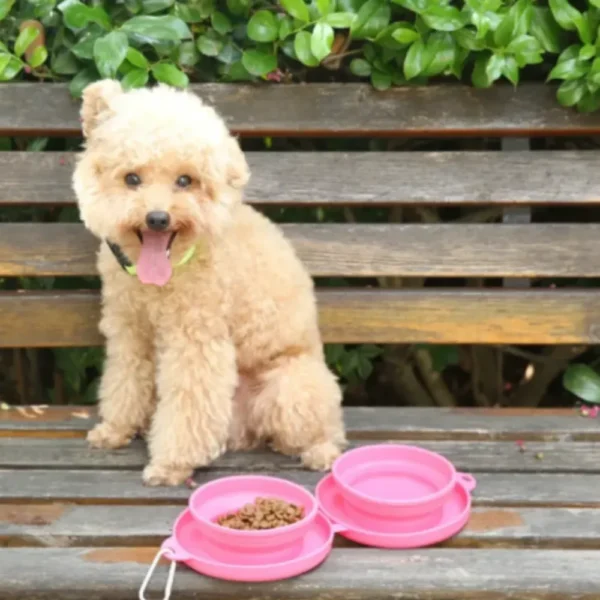 dfwwm0242340-05.webp Collapsible Pet Travel Bowl Portable Dual Feeder – product view 5