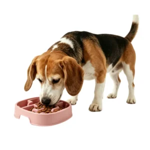 Slow Feeder Dog Bowls Stop Bloat Maze Design | Wholesale Slow Feeder Dog Bowls