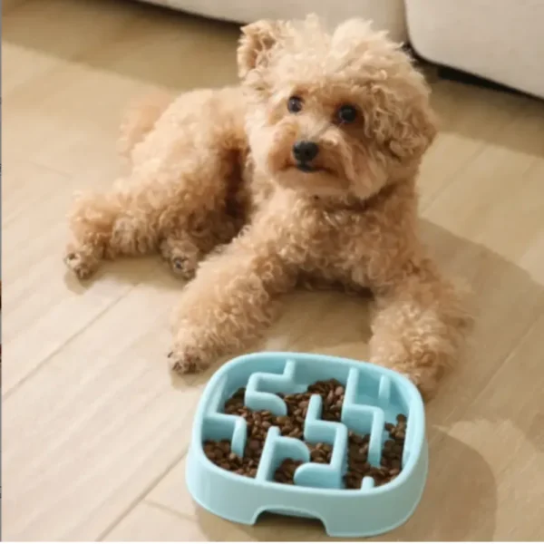 dfwwm0242482-05.webp Slow Feeder Dog Bowls Stop Bloat Maze Design – product view 5