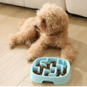dfwwm0242482-06.webp Slow Feeder Dog Bowls Stop Bloat Maze Design – product view 6