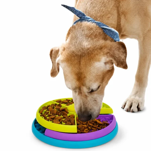 dfwwm0243172-01.webp Interactive 3-Layers Rotating Slow Feeder Dog Bowl
