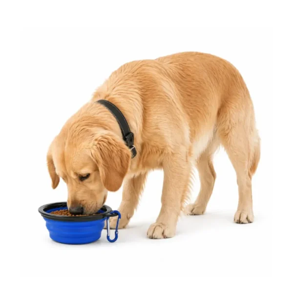 Portable Collapsible Dog Bowls