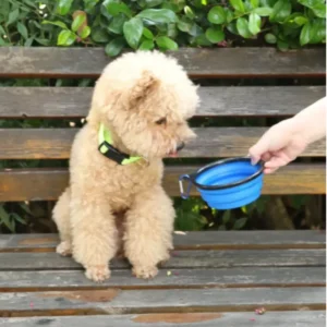 dfwwm0243637-05.webp Portable Collapsible Dog Bowls – product view 5