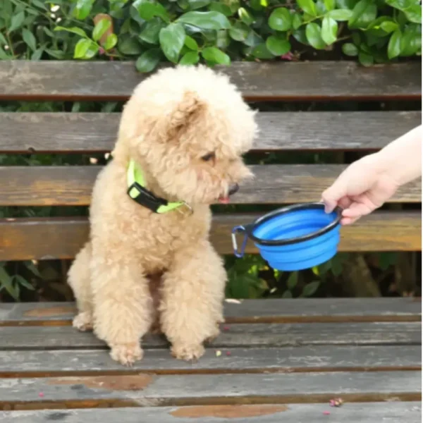 dfwwm0243637-05.webp Portable Collapsible Dog Bowls – product view 5