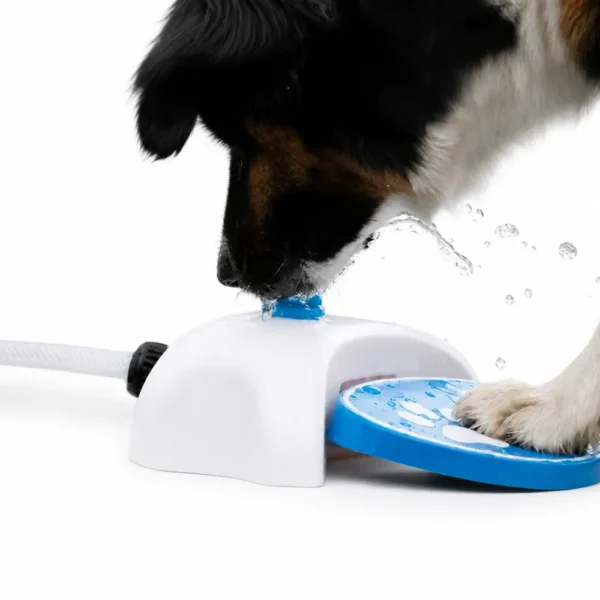 dfwwm0269081-01.webp Foot Press Automatic Pet Water Fountain with Hose for Dogs